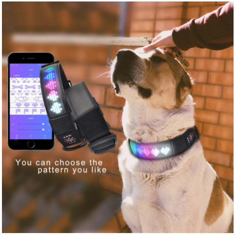 LED Display Pet Collar With Flashing Text